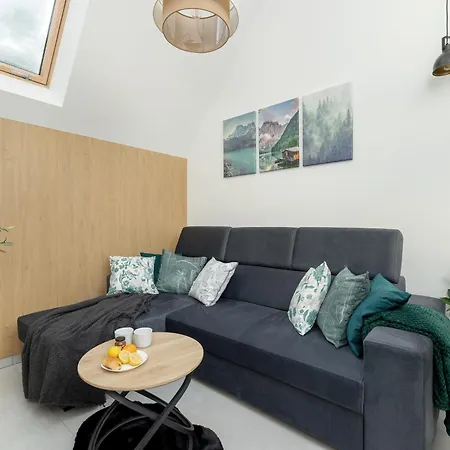 Prestizowe Goralskie W Sercu Zakopanego & Parking By Renters Apartment